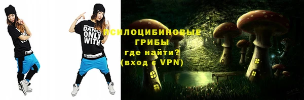 СК Мегион