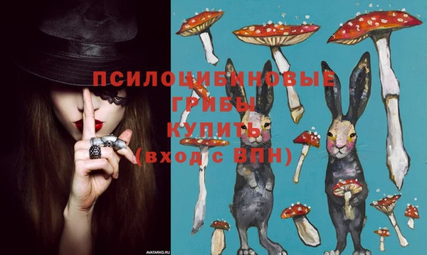 mdma Медвежьегорск